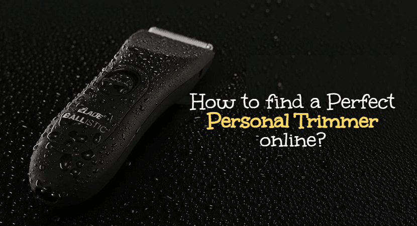 How To Find A Perfect Personal Trimmer Online - ZLADE