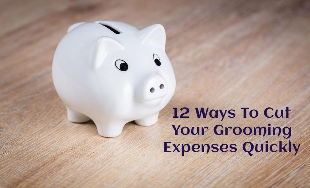 12 Ways To Cut Your Grooming Expenses Quickly