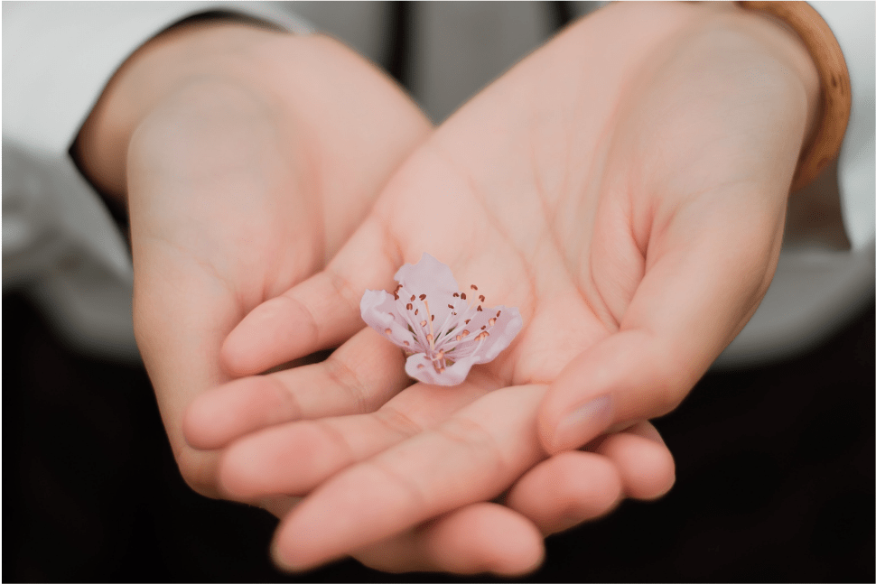 Safe Ways To Remove Private Hairs At Home With Minimal Pain - ZLADE